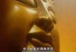 小時候看覺得蜈蚣精太壞了，怎麼能欺騙世人，後來才知道世人多是自願被騙，沒有蜈蚣精也會有蜘蛛精、壁虎精、蛤蟆精，只要能作為...