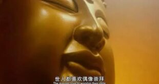 小時候看覺得蜈蚣精太壞了，怎麼能欺騙世人，後來才知道世人多是自願被騙，沒有蜈蚣精也會有蜘蛛精、壁虎精、蛤蟆精，只要能作為...