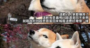 我們政府真的很有錢啊
