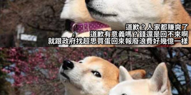 我們政府真的很有錢啊
