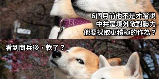 我還是喜歡看你之前桀驁不馴的樣子，變回去