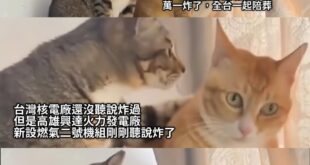 燃氣泄漏所以炸了

希望不要燒到燃煤倉庫那裡