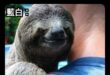謝謝阿