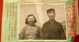 別的不說，外型確實蠻符合共慘党發給投降者的老婆的標準。只是妹妹，減肥門診掛號費也才150，去髮廊整理一下自然有桃花，想找...