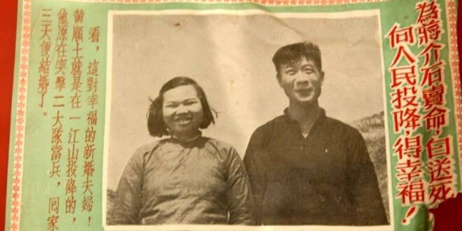 別的不說，外型確實蠻符合共慘党發給投降者的老婆的標準。只是妹妹，減肥門診掛號費也才150，去髮廊整理一下自然有桃花，想找…