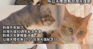 感情說穿了 一人掙脫的 一人去撿
歷史認同也一樣