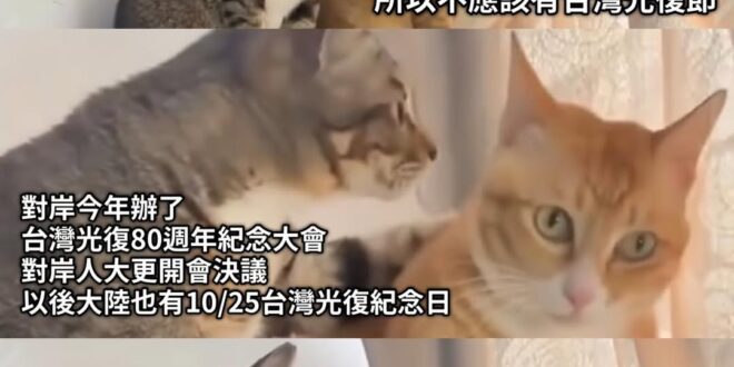 感情說穿了 一人掙脫的 一人去撿
歷史認同也一樣