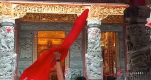 欸！欸？欸？！
你怎麼不下來呢？
你再不下來我拿棍子捅你了！