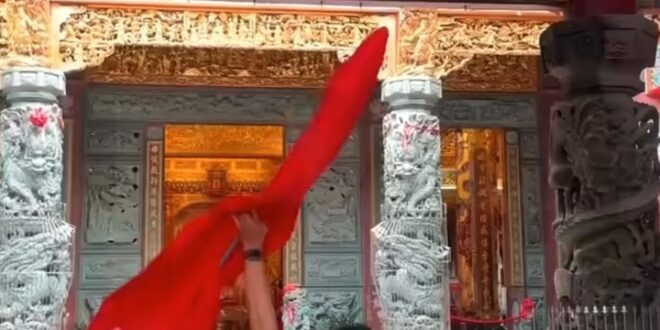 欸！欸？欸？！
你怎麼不下來呢？
你再不下來我拿棍子捅你了！
