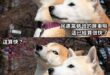 比以前進步了呢(笑