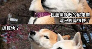 比以前進步了呢(笑