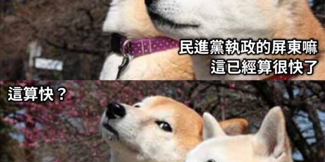 比以前進步了呢(笑