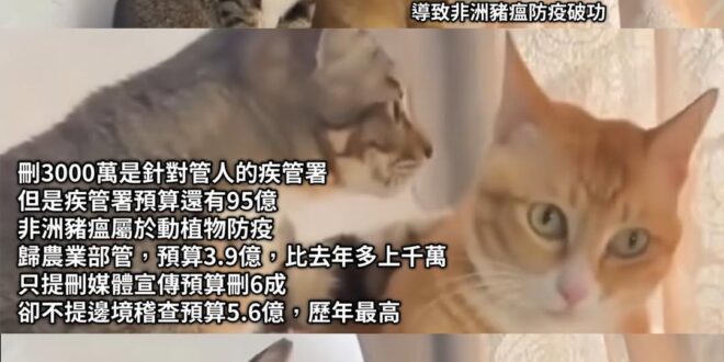 竹篙鬥菜刀
