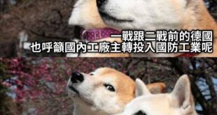 114年總預算3.13兆 占gdp11.8%左右
其中國防預算0.95兆，占GDP3.3%左右

2030國防預算提到G...