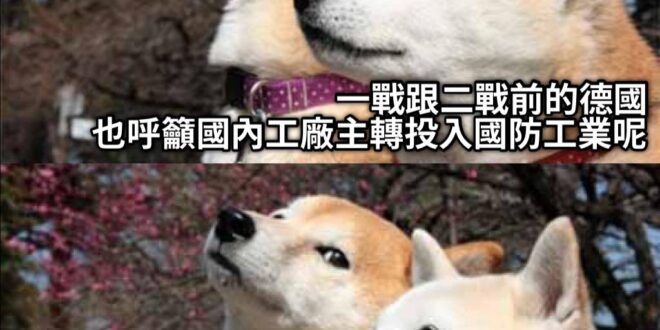 114年總預算3.13兆 占gdp11.8%左右
其中國防預算0.95兆，占GDP3.3%左右

2030國防預算提到G…