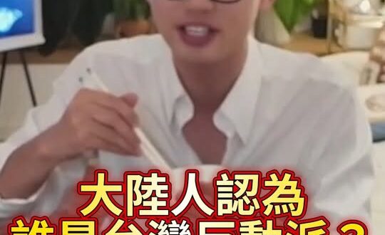 嘿嘿嘿！在大陸人眼中全部的藍都是反動派！【歷史哥快報｜王驍、李易修】