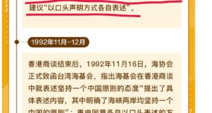 每次遇到膝蓋骨缺失的政治人物就會有人拿九二共識出來坦，說一些「可是有九二共識所以不能講R」「不是不講是九二共識R」

希...