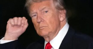 獨派越來越廢，抗議湊不到人就算了，上網造謠還造這麼爛，這要怎麼跟小粉紅拼？真的很讓我們台灣人丟臉。