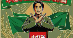 不用小紅書的五大好處