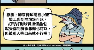 1.黨不會錯，黨的政績完美無缺
2.黨若錯了，見第一條
3.黨的政績有問題，見第一條