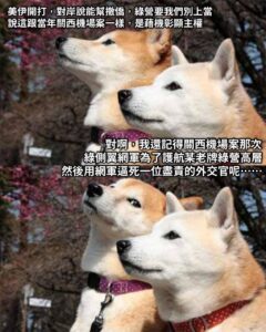 什麼不提提這個