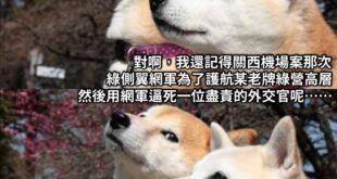 什麼不提提這個