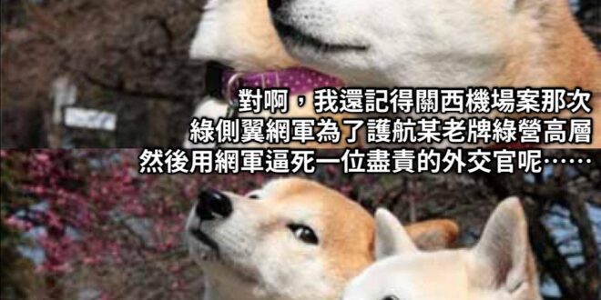 什麼不提提這個