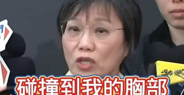怒瞪、推記者手，劉世芳：「幾位媒體碰撞到我的胸部」

很嚴重，建議劉世芳要提告，趕快告訴老師，尤其還有三立的。