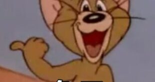 本來馬辦內部有糾紛，看是要找律師還是訴諸司法都是馬英九自己的事，大嘴婆非要跳出來嘴一兩句，這不是此地無銀三百兩？有人提到...