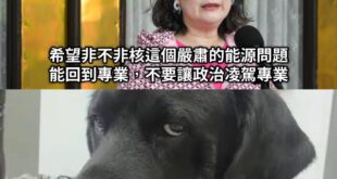 這臉大概比李鴻章厚