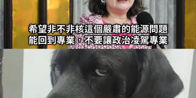 這臉大概比李鴻章厚