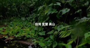 不要問我為什麼沒辦法控制視角
一根釣線掛住相機是要怎麼控制視角