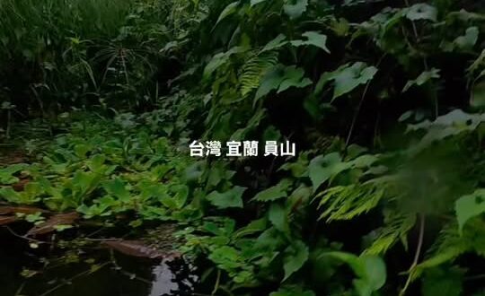 不要問我為什麼沒辦法控制視角
一根釣線掛住相機是要怎麼控制視角