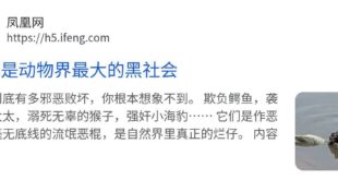 以前看綠營在講古，說戒嚴時期黨外人士參選會被黨國派人混進造勢晚會監視，紀錄參與人員加以恐嚇等等，沒想到2026了還能看到...
