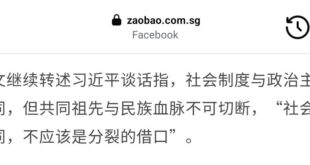 奇怪了，#當初是誰分裂誰啊？又是誰拿著蘇聯來的共產主義制度鬧獨立，一下搞地方蘇維埃，一下搞三區革命唆使新疆獨立，最後甚至...