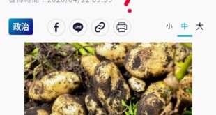 阿榮阿，你也吃到姑婆芋神智不清了嗎？