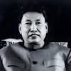先把波波的小曲放在這裡，等下哪個市長候選人又提出去城市化的政見就可以用上了