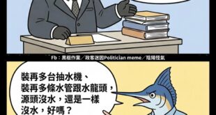 懂？不敢懂！