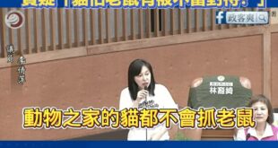 民進黨新北議員超神戰略！要求「動物之家的貓來抓老鼠」，質疑農業局回應動物之家的貓不會抓老鼠，是不是有被不當對待？

這就...
