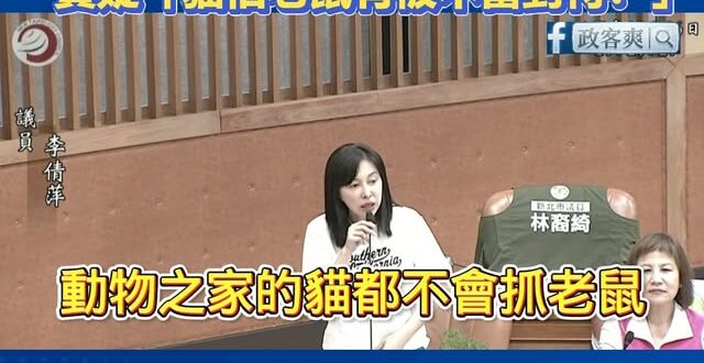 民進黨新北議員超神戰略！要求「動物之家的貓來抓老鼠」，質疑農業局回應動物之家的貓不會抓老鼠，是不是有被不當對待？

這就…