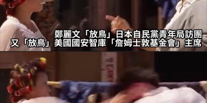美國智庫：愚蠢的民進黨消息來源