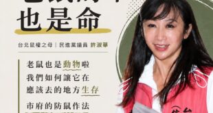 老鼠的命也是命！Rats’ Lives Matter

今天，我終於看見了台北的光。

當這個城市還停留在「看到老鼠就尖...