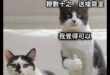 這輩子第一次覺得莊瑞雄講了句人話