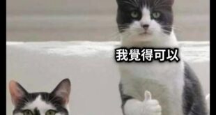 這輩子第一次覺得莊瑞雄講了句人話