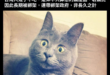 ⋯⋯有沒有那麼一種可能是
我們有吃，只是賣對岸價格好
所以都拿去賣對岸了，台灣反而少而且貴
才會有這種看起來好像台灣人不…
