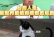不止當年的元首 現在的美帝也(被拖走