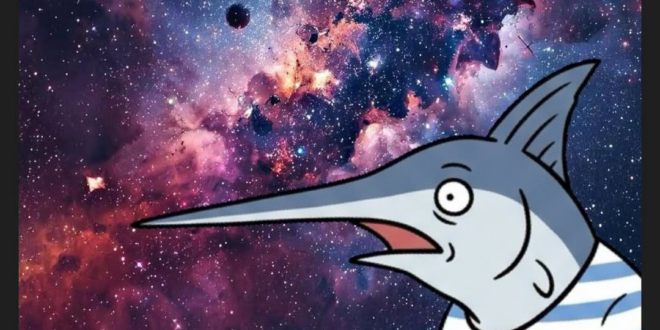 奇了怪了