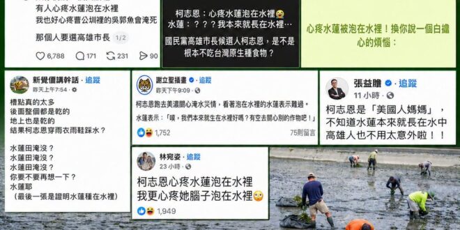 最悲壯的綠營集體大翻車，最搞笑的是綠媒還上車，集體失智反科學

柯志恩原話：「有鄉親向我們反映，辛苦栽種的水蓮田整片遭大…