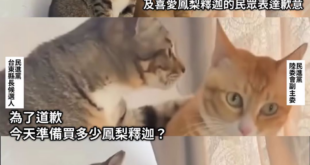 看來選情傷很重啊？