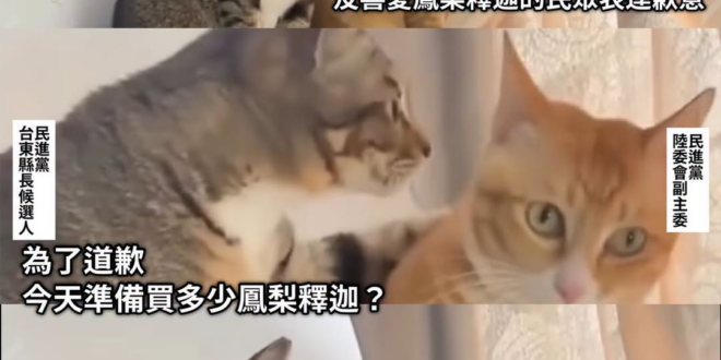 看來選情傷很重啊？